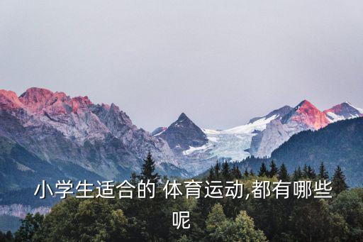  小學(xué)生適合的 體育運(yùn)動(dòng),都有哪些呢