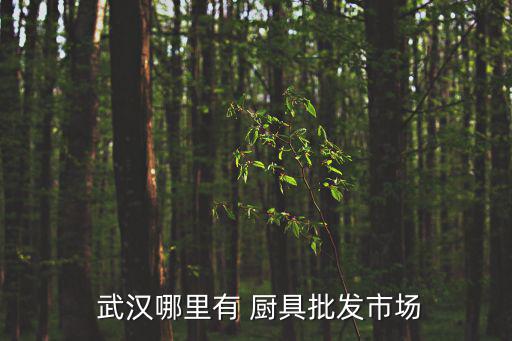 武漢廚具二手市場回收電話,廚房設(shè)備二手廚具回收價格如何?