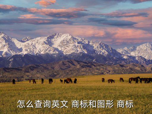 搜商標圖案,百度搜索中國商標網(wǎng)查詢頁面出現(xiàn)商標查詢框
