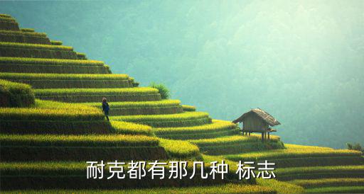 耐克都有那幾種 標志
