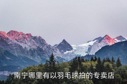  南寧哪里有以羽毛球拍的專賣店