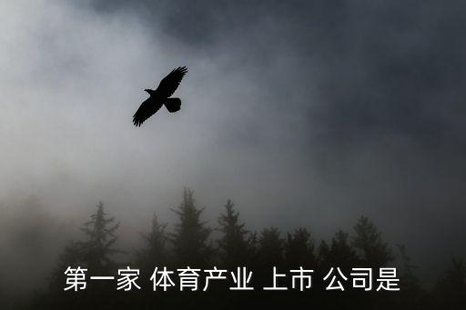 第一家 體育產(chǎn)業(yè) 上市 公司是