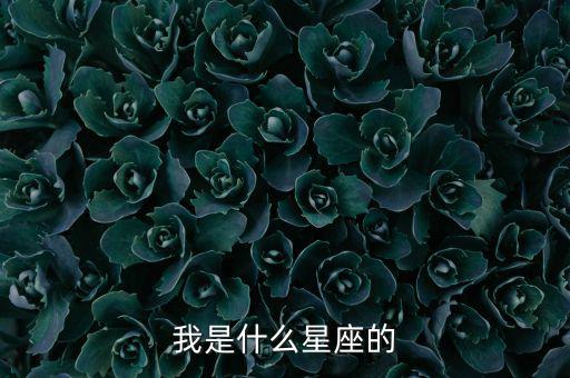 武漢逸辰星體育用品有限公司,星期二特寫(xiě)｜周末看看你是誰(shuí)?