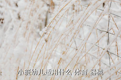 戶外體育器械名稱與圖片,幼兒園戶外體育設(shè)備分機(jī)清單