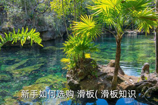 新手如何選購 滑板( 滑板知識
