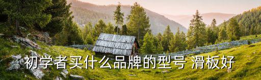 初學(xué)者買什么品牌的型號 滑板好