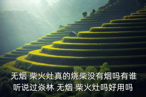  無(wú)煙 柴火灶真的燒柴沒(méi)有煙嗎有誰(shuí)聽(tīng)說(shuō)過(guò)焱林 無(wú)煙 柴火灶嗎好用嗎