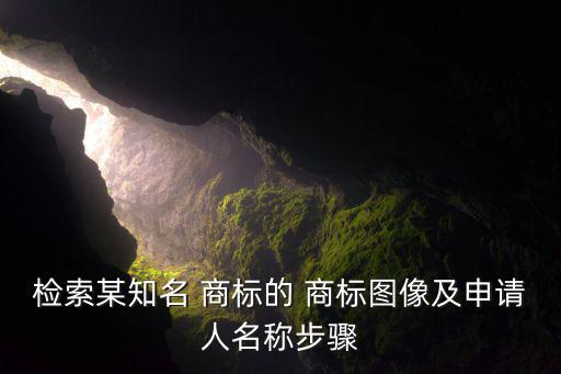 檢索某知名 商標(biāo)的 商標(biāo)圖像及申請人名稱步驟