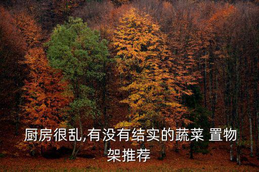  廚房很亂,有沒有結實的蔬菜 置物架推薦