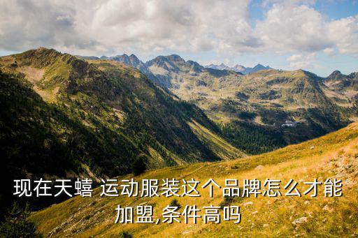 現(xiàn)在天蟢 運(yùn)動(dòng)服裝這個(gè)品牌怎么才能加盟,條件高嗎
