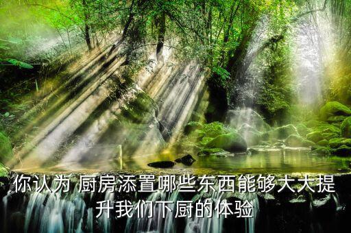 你認為 廚房添置哪些東西能夠大大提升我們下廚的體驗