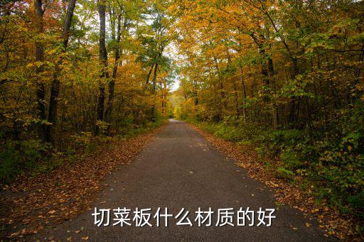  切菜板什么材質的好