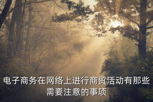 電子商務(wù)在網(wǎng)絡(luò)上進(jìn)行商貿(mào)活動(dòng)有那些需要注意的事項(xiàng)