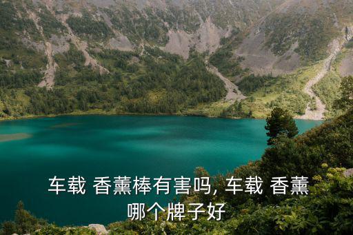  車(chē)載 香薰棒有害嗎, 車(chē)載 香薰哪個(gè)牌子好