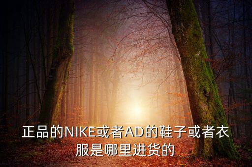 正品的NIKE或者AD的鞋子或者衣服是哪里進貨的
