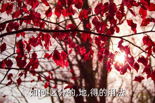 如何 區(qū)分的,地,得的用法