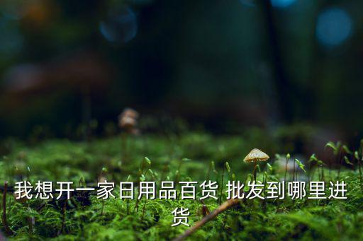 南寧日用百貨批發(fā)市場(chǎng),日用百貨有何不同之處?