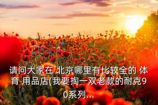 請問大家在 北京哪里有比較全的 體育 用品店(我要掏一雙老款的耐克90系列...