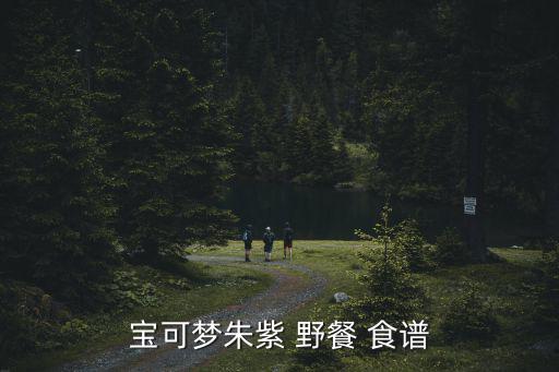 寶可夢朱紫 野餐 食譜