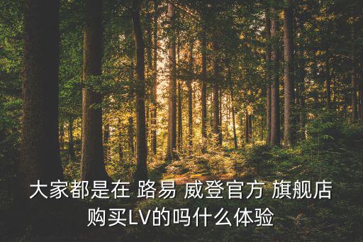 大家都是在 路易 威登官方 旗艦店購(gòu)買LV的嗎什么體驗(yàn)