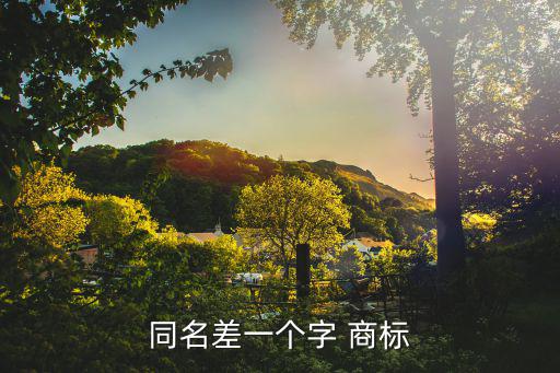 同名差一個字 商標