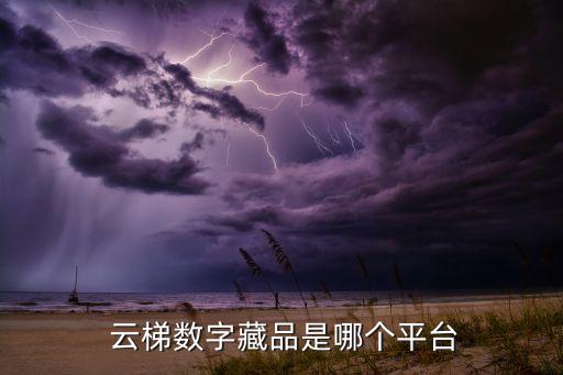  云梯數(shù)字藏品是哪個平臺