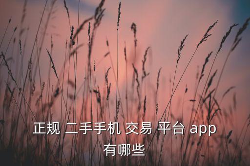 正規(guī) 二手手機(jī) 交易 平臺(tái) app有哪些
