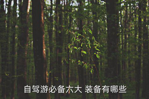 汽車戶外自駕游裝備,自駕游必備物品清單