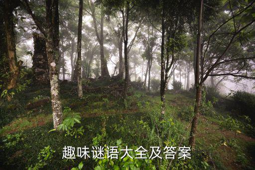 上海雙嬌體育用品品質(zhì)如何,桑葚綠枝長得高摘下來曬干當(dāng)柴燒
