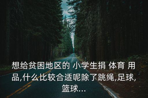小學(xué)生體育用品有什么,新加坡小學(xué)體育設(shè)施如何發(fā)?