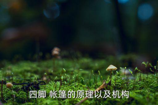 四角帳篷圖片大全,關(guān)于帳篷你必須知道的事