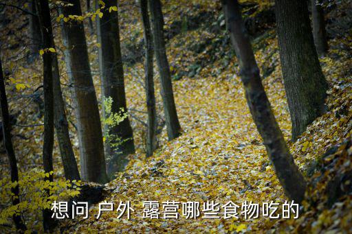 想問 戶外 露營(yíng)哪些食物吃的