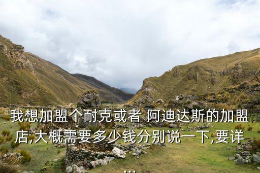 我想加盟個耐克或者 阿迪達(dá)斯的加盟店,大概需要多少錢分別說一下,要詳...