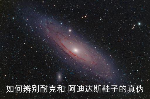 如何辨別耐克和 阿迪達(dá)斯鞋子的真?zhèn)? class=