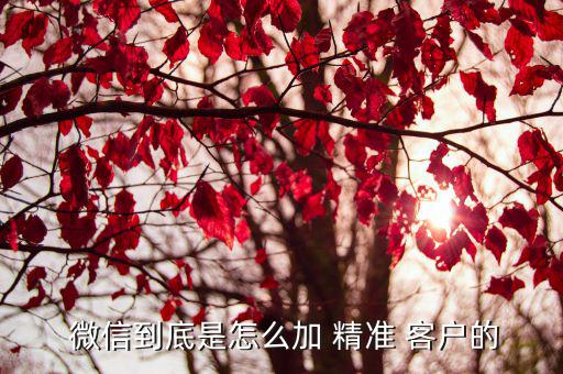  微信到底是怎么加 精準(zhǔn) 客戶(hù)的