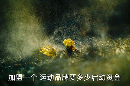 加盟一個(gè) 運(yùn)動(dòng)品牌要多少啟動(dòng)資金