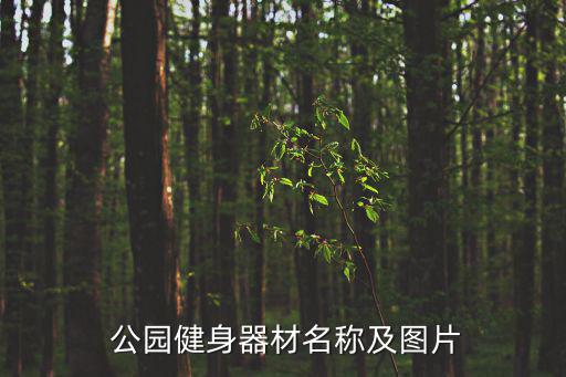  公園健身器材名稱及圖片