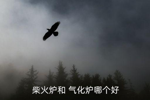  柴火爐和 氣化爐哪個(gè)好