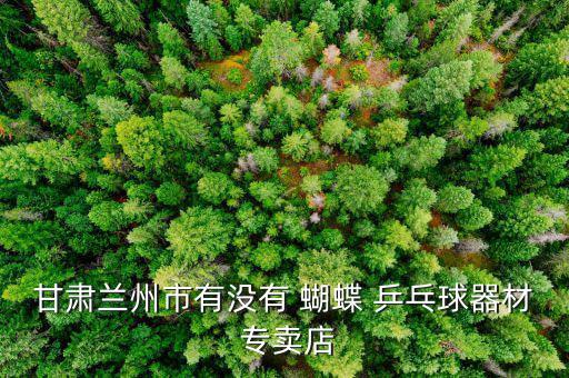 蝴蝶牌乒乓球拍專賣店價(jià)格,乒乓球拍攝攻略（十））
