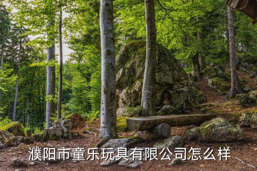 濮陽(yáng)哪里有體育用品,河南一家玩具制造商涉及塑料制品銷售
