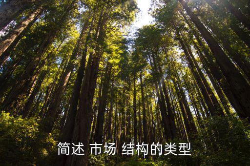 簡述 市場 結(jié)構(gòu)的類型