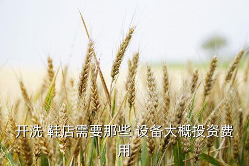 開洗 鞋店需要那些 設(shè)備大概投資費(fèi)用