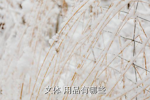 文體 用品有哪些