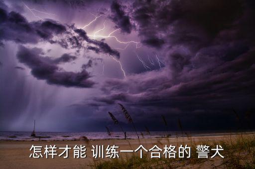 怎樣才能 訓練一個合格的 警犬
