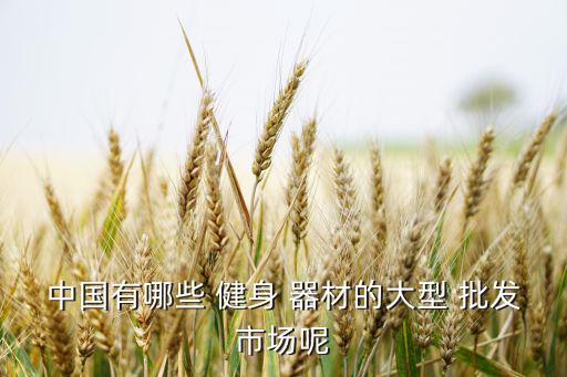 南寧戶外健身器材批發(fā),學(xué)生健身器材知多少?問(wèn)與答（三）