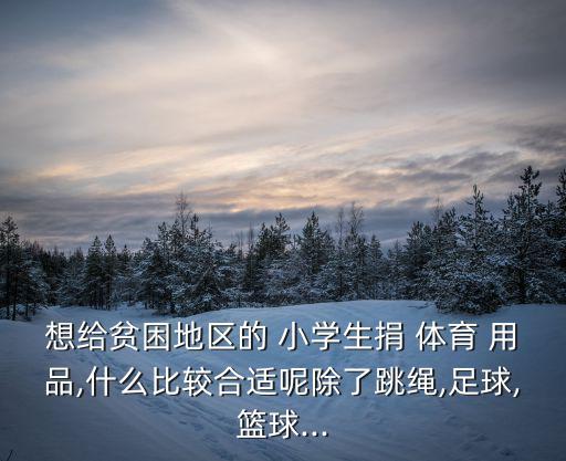 小學生體育用品有什么,新加坡小學體育設施如何發(fā)?