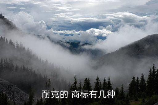 名牌體育用品商標(biāo)符號(hào)圖片,耐克商標(biāo)揭曉惹爭(zhēng)議