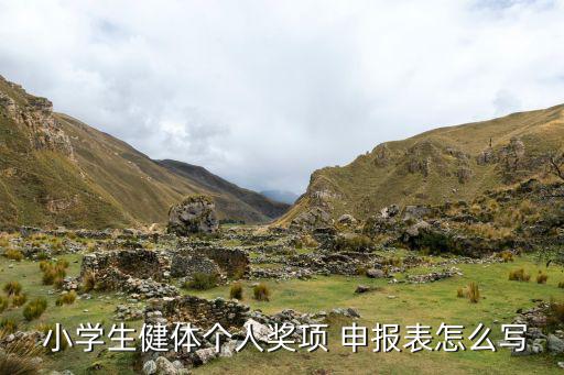  小學(xué)生健體個(gè)人獎(jiǎng)項(xiàng) 申報(bào)表怎么寫