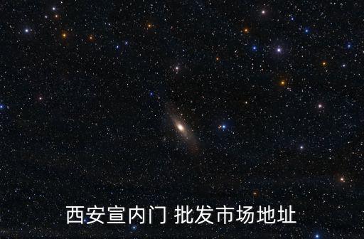 西安宣內門 批發(fā)市場地址