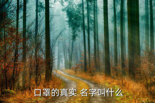 給口罩取一個(gè)好聽(tīng)的名字,如何給公司起好名字?